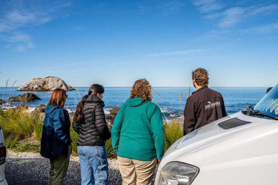 From Christchurch: Kaikoura Day Tour With Dolphin Cruise - Pickup Locations