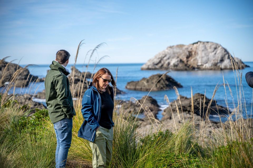 From Christchurch: Kaikoura Day Tour With Dolphin Cruise - Stops and Main Stops