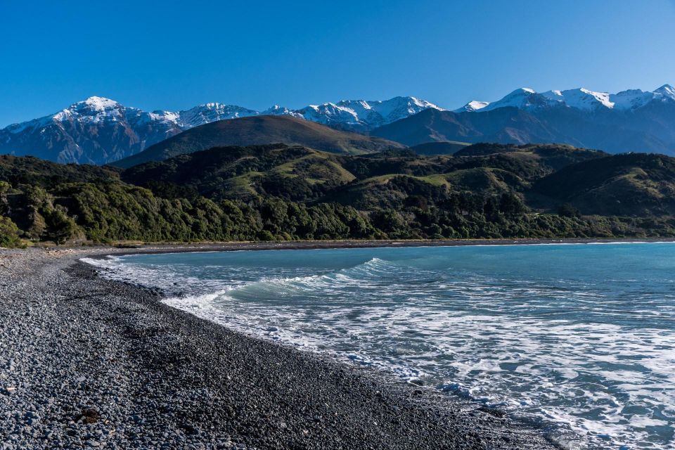 From Christchurch: Kaikoura Day Tour With Dolphin Cruise - Frequently Asked Questions