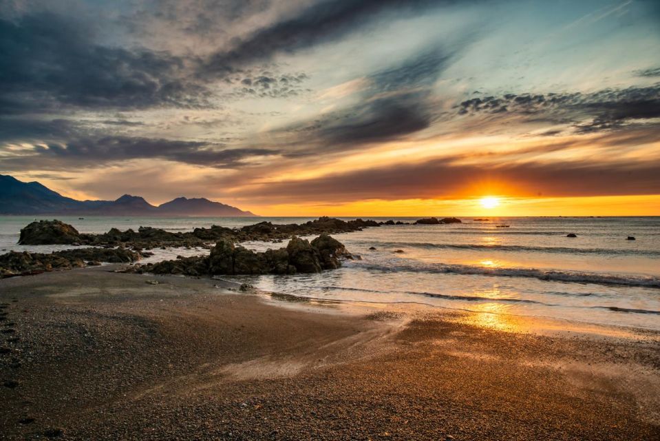 From Christchurch: Kaikoura Whale Watching Day Tour - Itinerary