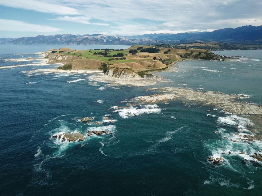 From Christchurch: Kaikoura Whale Watching Day Tour - Important Information