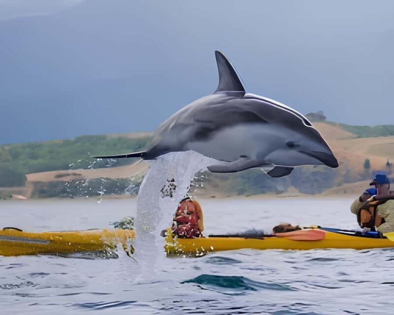 From Christchurch: Private Kaikoura Tour with Guide - Key Points