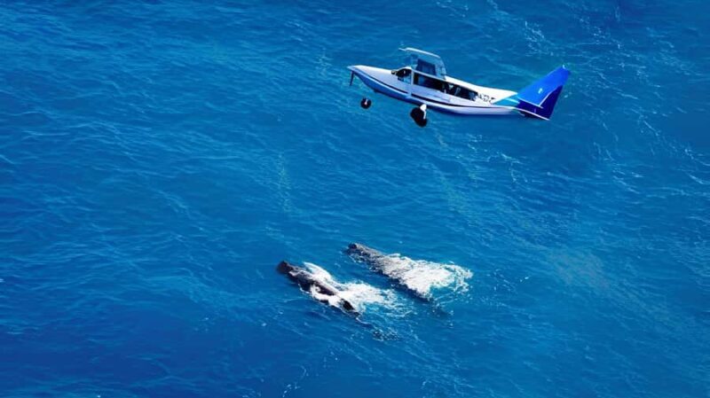 From Christchurch: Private Kaikoura Tour with Guide - An Honest Look at the Experience