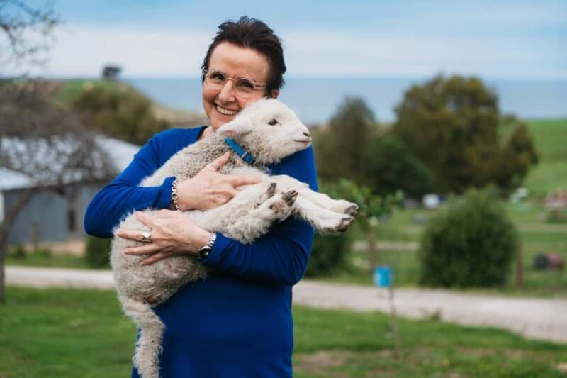 From Christchurch: Sheep Farm Experience with Lunch & Winery - Key Points