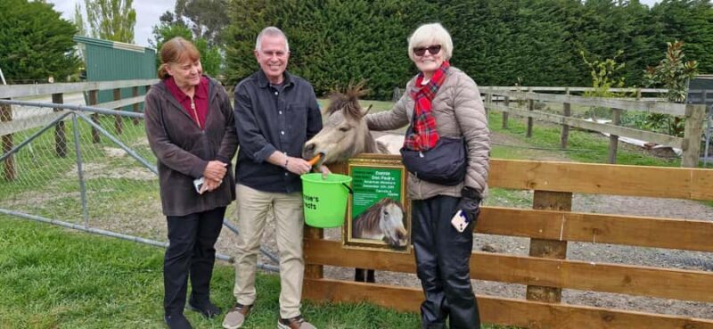 From Christchurch: Sheep Farm Experience with Lunch & Winery - The Sheep Farm Experience