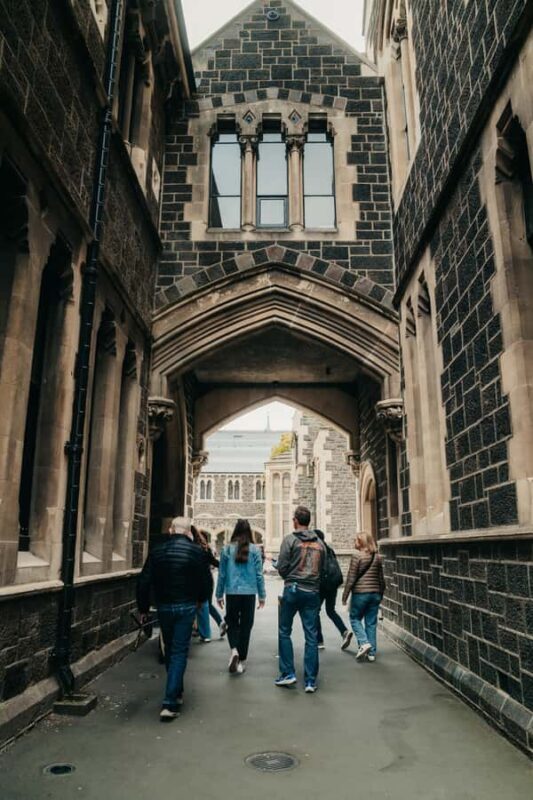 From Christchurch: Sheep Farm Experience with Lunch & Winery - The Gourmet Picnic Lunch