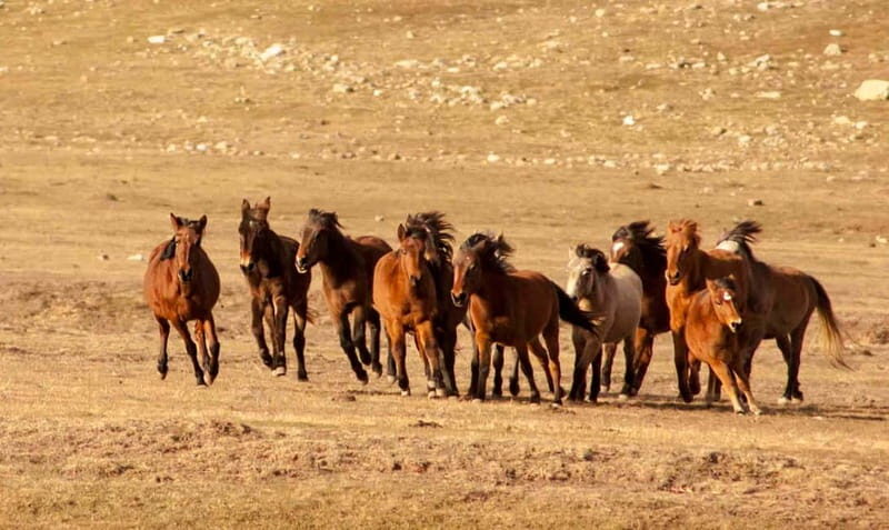 From City of Side: Visit to Ormana Village & Altinbesik Cave - A Glimpse into the Silk Road’s Past