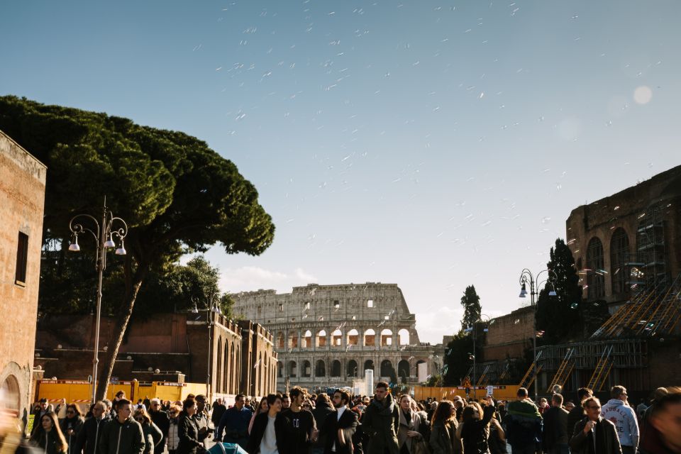 From Civitavecchia: Roman Forum and Colosseum Full-Day Tour - Transportation Included