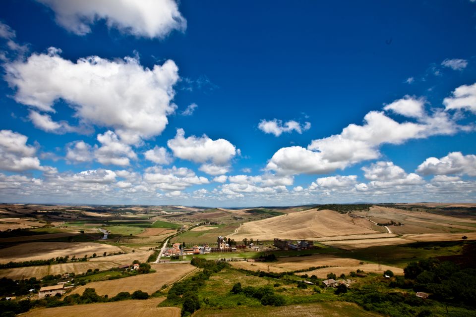 From Civitavecchia: Tarquinia & UNESCO Site Visit With Lunch - Highlights of the Tour