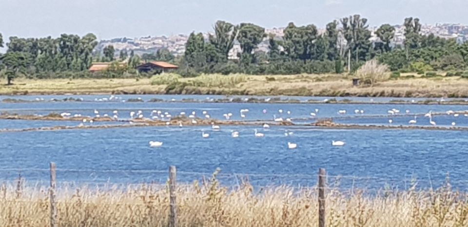 From Civitavecchia: Tarquinia & UNESCO Site Visit With Lunch - Important Information