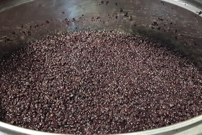From Civitavecchia: Tuscany-Latium Wine Tour With Tastings - Pickup and Drop-off