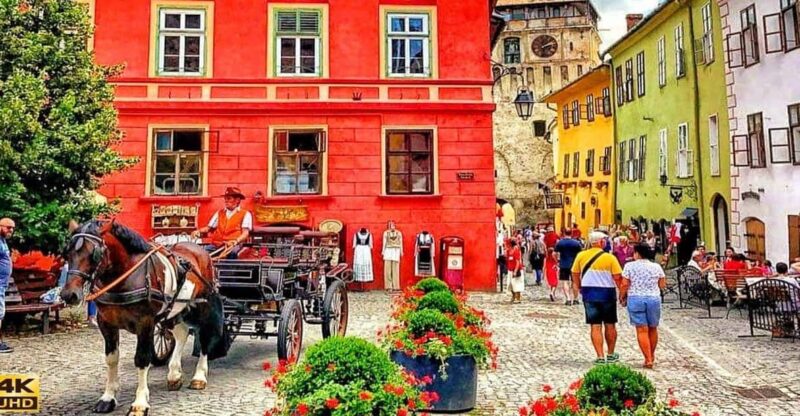 FROM CLUJ: 3 DAY TOUR - HISTORY, UNESCO, WILDLIFE - Good To Know