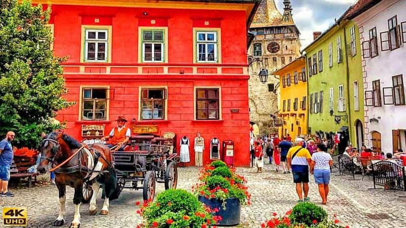 FROM CLUJ: 3 DAY TOUR - HISTORY, UNESCO, WILDLIFE - Day 1 Itinerary