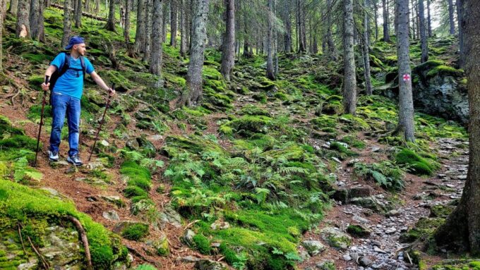 From Cluj : Golden Circle Of Transylvania - Cultural and Natural Highlights