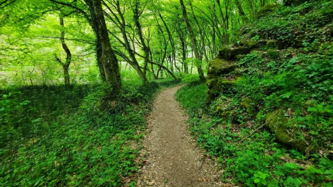 From Cluj: Gorges of Crisul Repede River - Booking Information