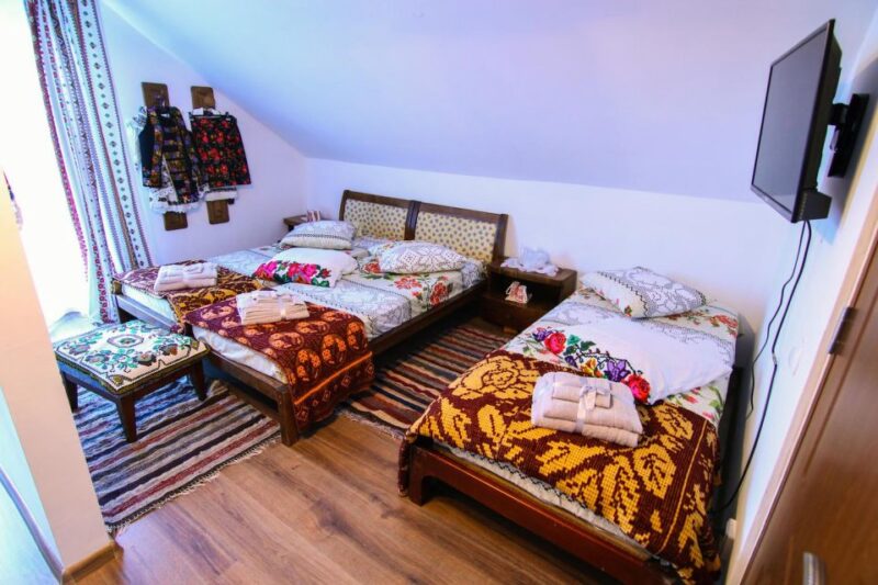 From Cluj: Maramures Activ Tour - Tour Itinerary Breakdown