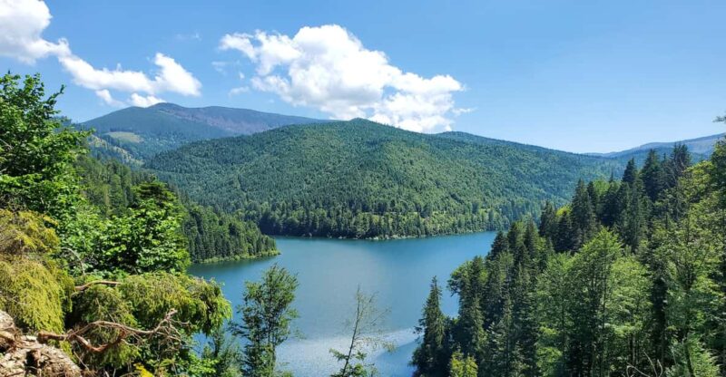 From Cluj: Mountain Bike Around Lake Dragan - Inclusions and Exclusions
