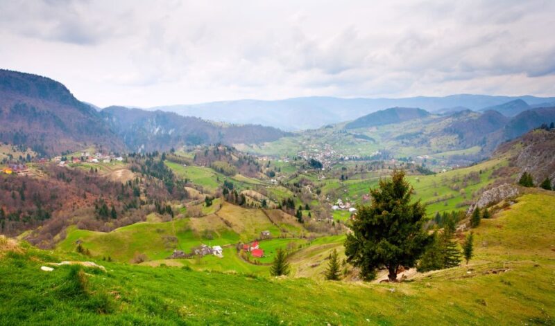 From Cluj-Napoca: 2-Day Bucovina & Painted Monasteries Tour - Tour Overview and Pricing