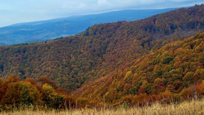 From Cluj-Napoca: Apuseni Mountains Hiking Guided Day Tour - Nearby Attractions