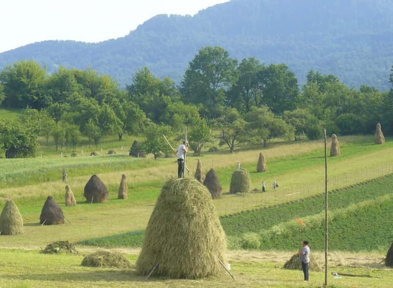 From Cluj-Napoca: Maramure 3-Day Tour with Accommodation - A Closer Look at the 3-Day Maramure Experience
