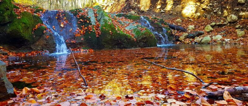 From Cluj: Two Days of Adventure Borzesti Gorge and Thegiant - Accommodation in Rimetea