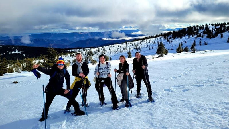 From Cluj: Winter Walking Trip on the Great Mountain - Introduction: A Winter Wonderland Reimagined