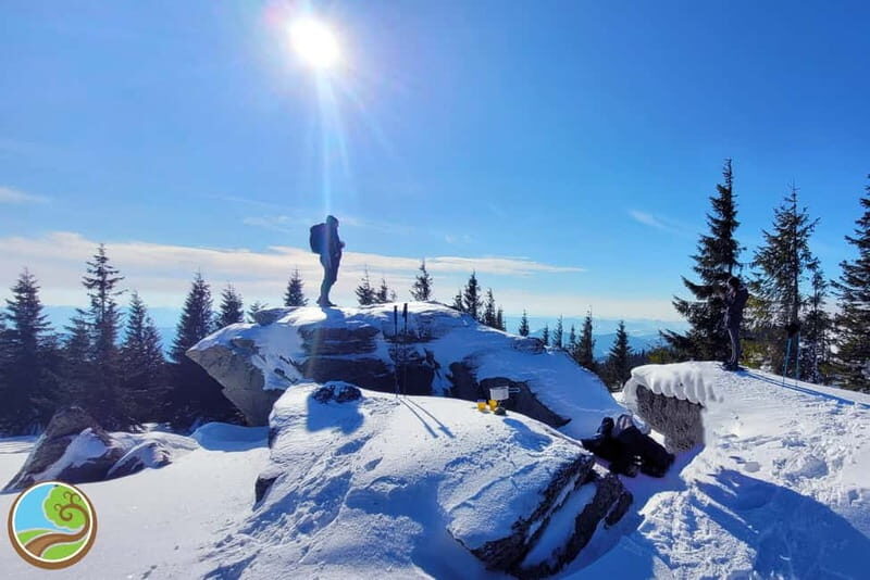 From Cluj: Winter Walking Trip on the Great Mountain - Practical Details and Logistics