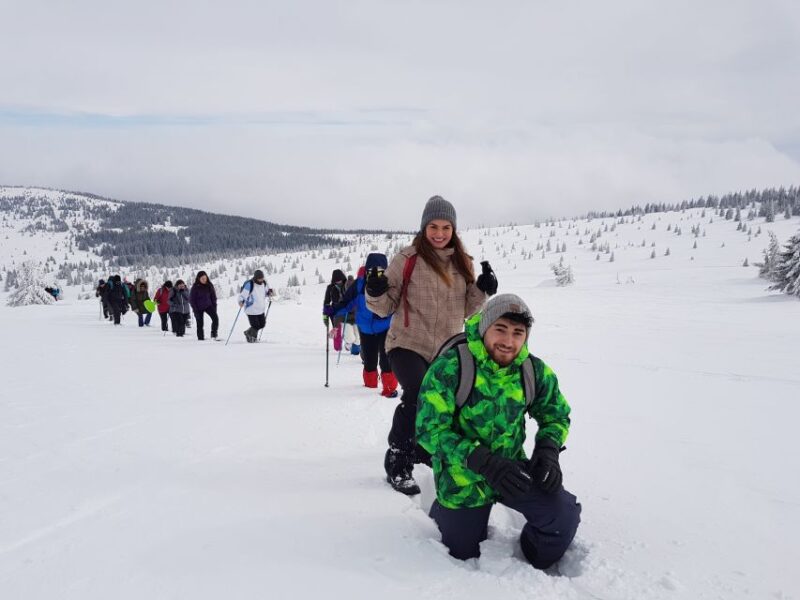 From Cluj: Winter Walking Trip on the Great Mountain - Important Information