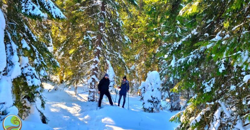 From Cluj: Winter Walking Trip on the Great Mountain - What to Pack