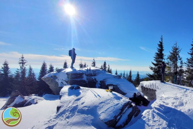 From Cluj: Winter Walking Trip on the Great Mountain - Tips for a Successful Hike