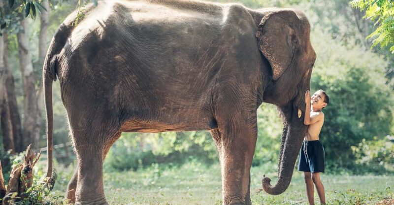 From Cochin: 04 Night/05 Day Kerala Tour - Inclusions