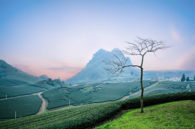 From Cochin: 04 Night/05 Day Kerala Tour - What to Bring