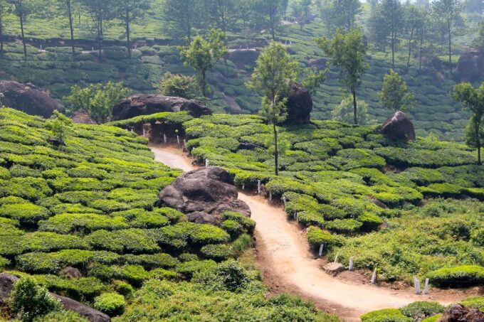 From Cochin: 04 Night/05 Day Kerala Tour - Restrictions