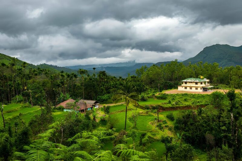 From Cochin: 7 Day Munnar, Thekkady, Alleppey, and Kovalam - Good To Know