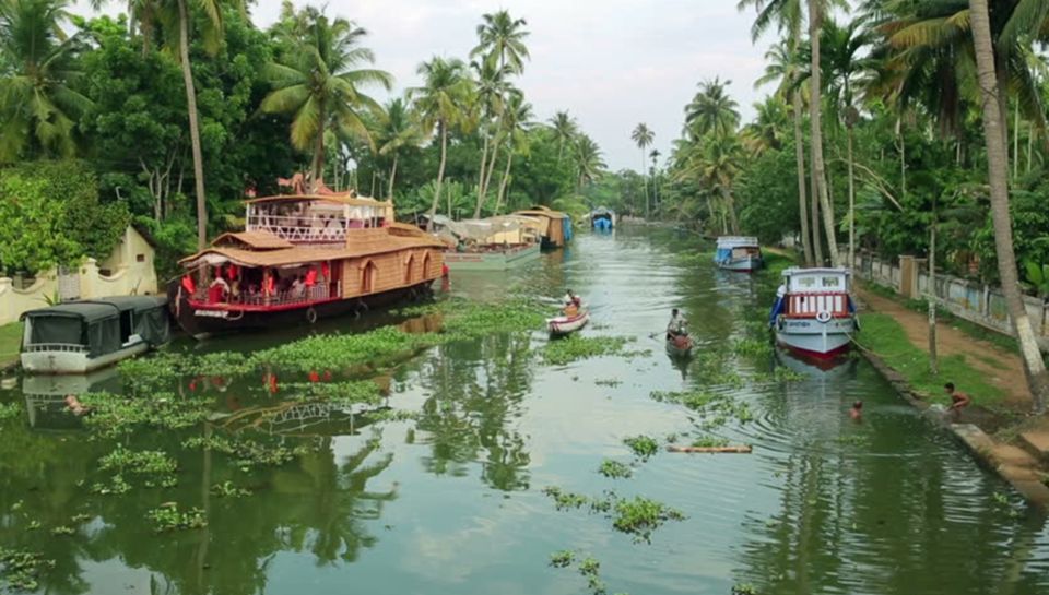 From Cochin: 8 Day Kerala Tour Package With Houseboat Stay - Inclusions and Accommodations