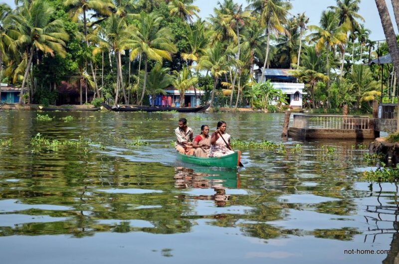 From Cochin Port: Backwaters by Houseboat - Customer Feedback Insights