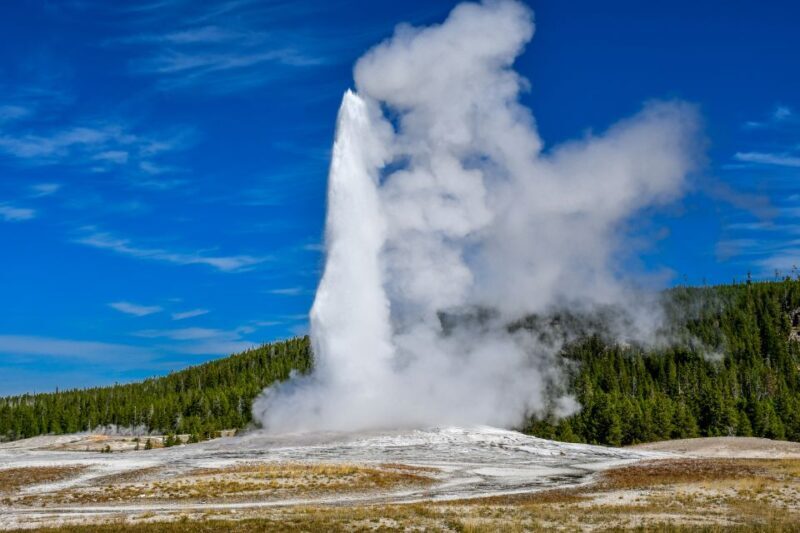From Cody: Full-Day Yellowstone National Park Tour - An Overview of What to Expect from This Yellowstone Tour