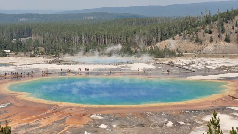 From Cody: Full-Day Yellowstone National Park Tour - Frequently Asked Questions