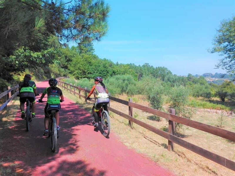 From Coimbra: Cycling on the Dão Ecotrail - What You Get and What You Might Need to Consider