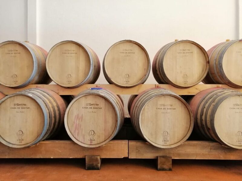From Coimbra: Dão Wine Route Experience - The Sum Up