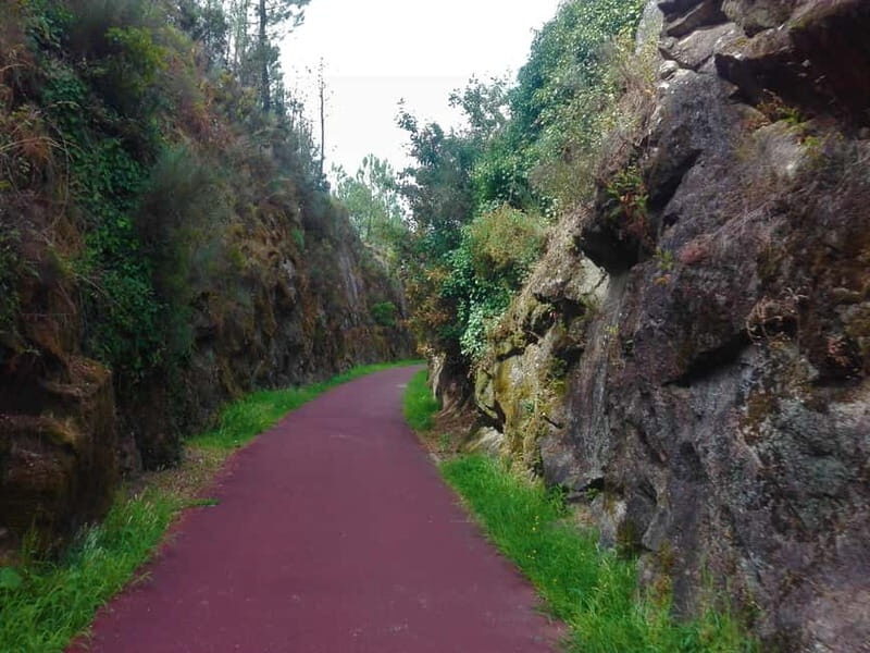 From Coimbra: Ecopista do Vouga cycling route - Who will enjoy this tour most?