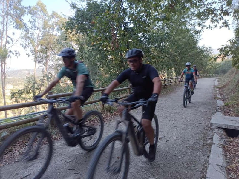 From Coimbra: Ecopista do Vouga cycling route - The Sum Up