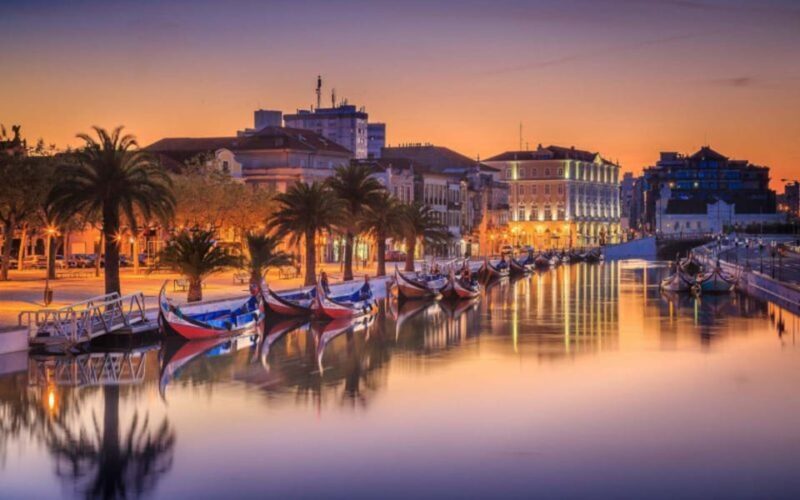 From Coimbra: Porto, Aveiro and Douro in Private with Tasting and Cruise - A Deep Dive Into the Tour Experience