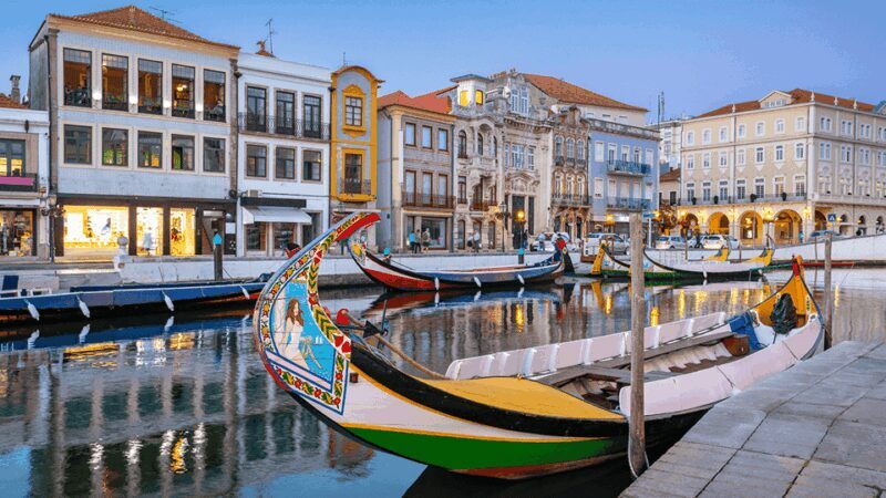 From Coimbra: Porto, Aveiro and Douro in Private with Tasting and Cruise - How to Maximize Your Experience