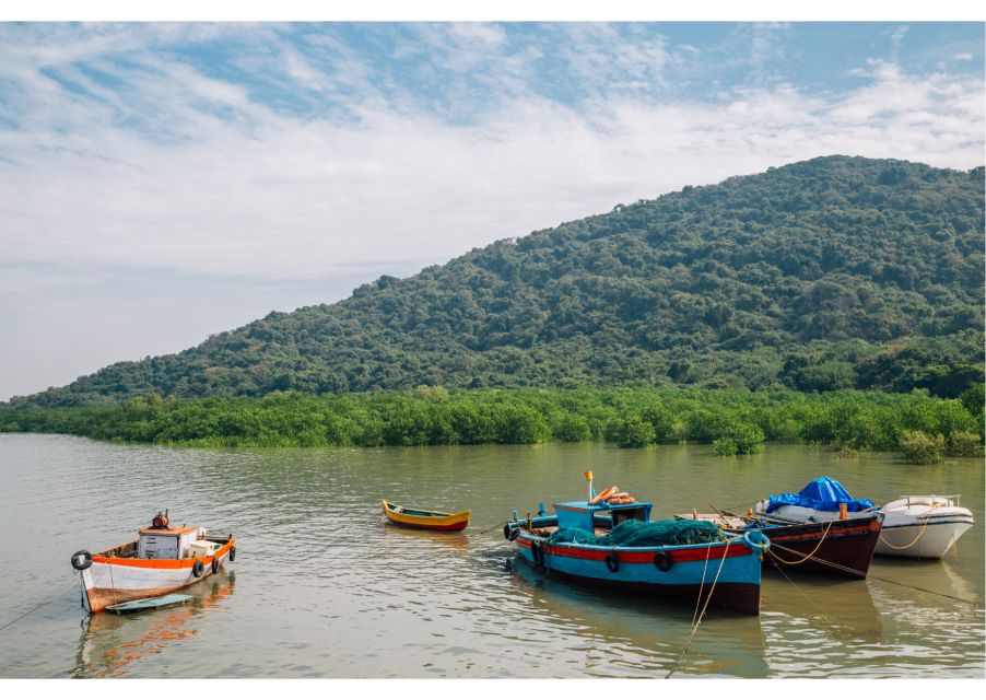 From Colaba: Half-Day Sightseeing Tour With Elephanta Caves - Frequently Asked Questions