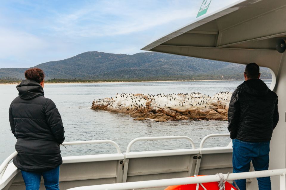 From Coles Bay: Wineglass Bay Cruise With Lunch - Customer Reviews