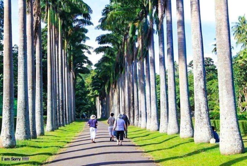 From Colombo: 2-Day Nuwara Eliya, Kandy, and Sigiriya Tour - FAQs