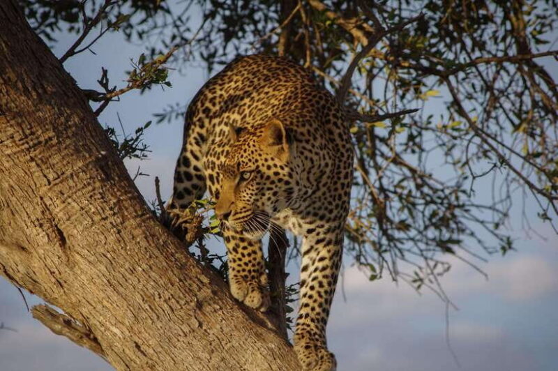 From Colombo: 2-Day Southern Coast Wildlife & Heritage Tour - The Itinerary: Wildlife and Heritage in Focus