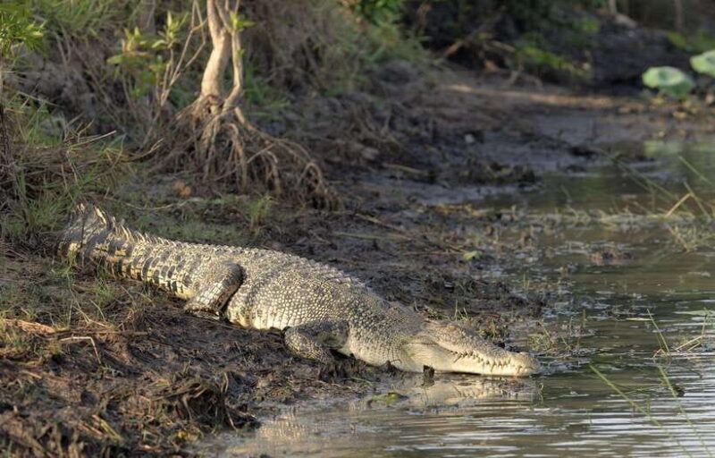 From Colombo: 2-Day Southern Coast Wildlife & Heritage Tour - Final Thoughts