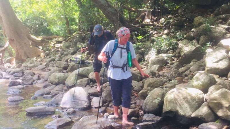 From Colombo: 4-Day Hill Country Tour with Train Ride - Authentic Experiences and Traveler Feedback